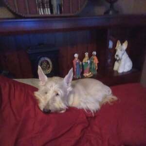 Meet your Posher, Robert